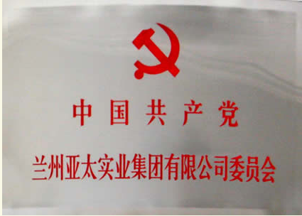 兰州拉斯维加斯游戏3499实业集团有限公司建设党委会专题